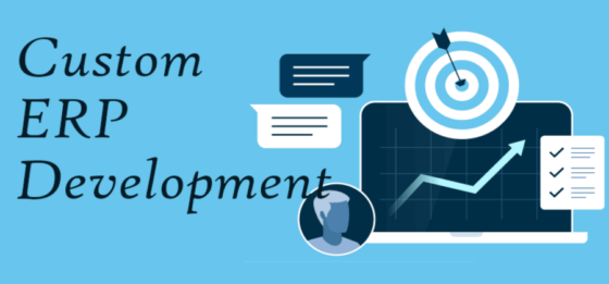 Custom ERP Software Development: Is It Worth It?